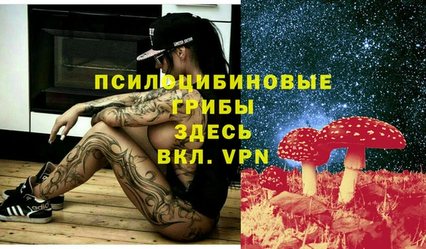 2c-b Горняк