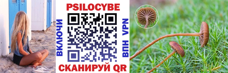 Псилоцибиновые грибы Cubensis  Купить где  Чишмы 
